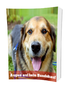 Augen auf beim Hundekauf - eBook PDF+Word mit PLR - 56 Seiten